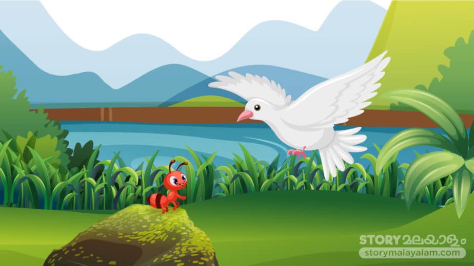 Malayalam Kids Stories The Ant and The Dove