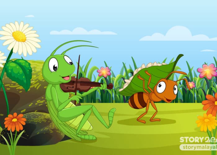 Children Story Malayalam The Ant And The Grasshopper