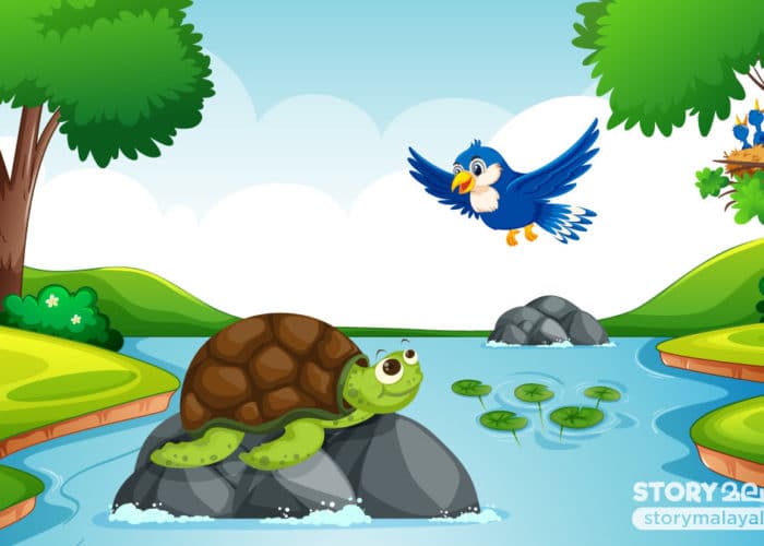 Stories for kids to read The Tortoise And The Bird