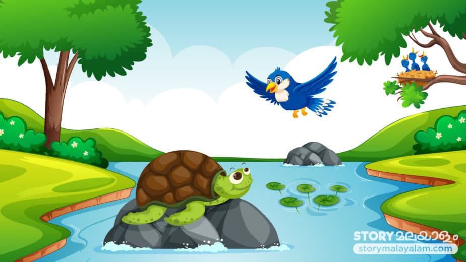 Stories for kids to read The Tortoise And The Bird