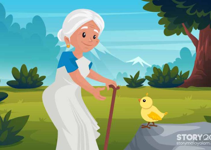 Baby bird finds her mother grandma story for kids in Malayalam
