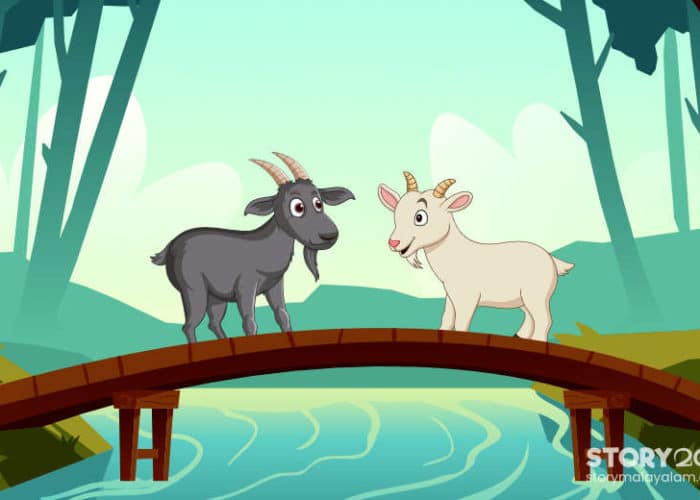 Malayalam Short Stories Two Goats