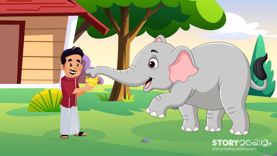Malayalam Stories To Read Online - Elephant And The Tailor