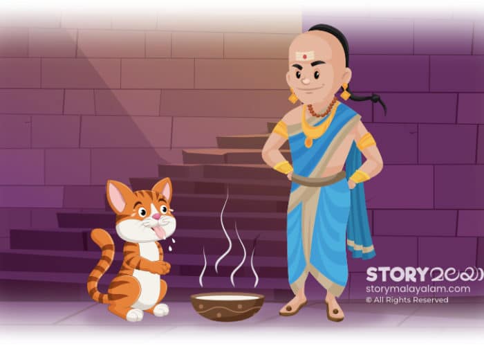 Funny Malayalam Story Tenali Raman and the Cat